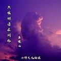 苏瑾儿 - 只恨相遇在网络