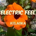 Kelaska - Electric Feel
