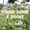 Kelaska - Young Dumb & Broke