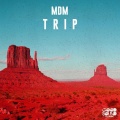 MDM - Trip