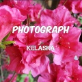 Kelaska - Photograph