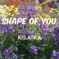 Kelaska - Shape of You