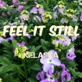 Kelaska - Feel It Still