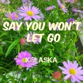 Kelaska - Say You Won't Let Go