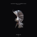 Gaston Zani、Alberto Ruiz - No Weakness