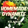 Kelaska - Homemade Dynamite (Explicit)