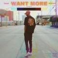 Want More (Explicit)