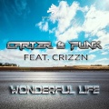 Carter & Funk、Crizzn - Wonderful Life