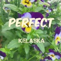 Kelaska - Perfect