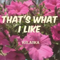 Kelaska - That's What I Like