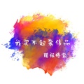 醋坛婷宝 - 我买不起奢侈品