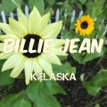 Kelaska - Billie Jean