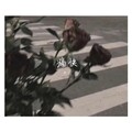 林一 - Aioz-董唧唧/Aioz-痛快 (林一 remix)