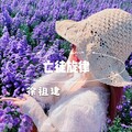 徐祖建 - 我想要你