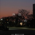 琳浩 - 渡佛