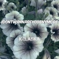 Kelaska - Idontwannabeyouanymore