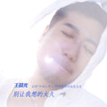 王晨光 - 别让我想的太久