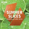 Summer Slices 2016