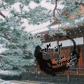 林一柔 - 世间百态