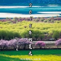 诗仙逸晨 - 2020年的夏天