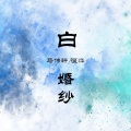 温烨、马伟轩 - 白婚纱