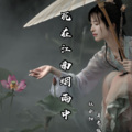 社会阳、月老板 - 死在江南烟雨中