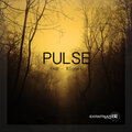 Yad、Riggel - Pulse (Niko Favata Fresh Mix)