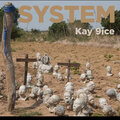 Kay 9ice - System