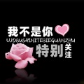 颜笑 - 我不是你特别关注