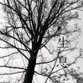 小宇Kenway - 黎明前