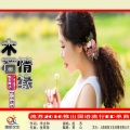 流苏 - 木石情缘