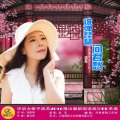 流苏 - 谁弹琵琶问君愁