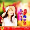 流苏 - 你的世界我来过