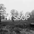 Hyssop