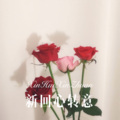 柯南 - 情哥哥想你着不成 (Remix)