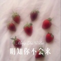 精彩成真 - 明知你不会来 (Remix)