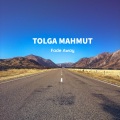 Tolga Mahmut - Fade Away