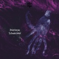 Schwarmer
