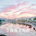 三哥 - 月光下想你