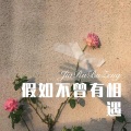DJ YiXiu - 假如不曾有相遇 (Remix)