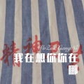 我在想你你在哪