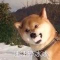 小池 - 玲珑塔