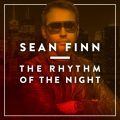 The Rhythm of the Night (Radio Edit)