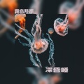 霧島陸都 - 深昏睡