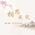 虞姬、苏可可 - 许多年以后