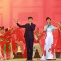 陈佳、李海涛 - 红灯闪闪亮
