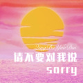 请不要对我说sorry (Remix)