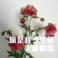 大娘们蒙多 - 酒醉梦不醒