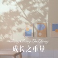 成长之重量