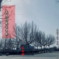MC温柔晴 - 我愿你桃花不断